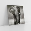 Obraz na płótnie 40x40 - Majestatyczny słoń Afryki - słoń, Afryka