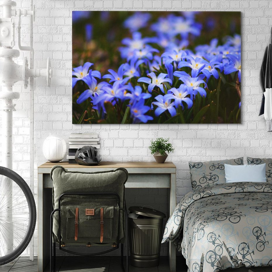 Obraz na płótnie 70x50 - Kwiatowy raj w naturze - kwiat, kwiaty