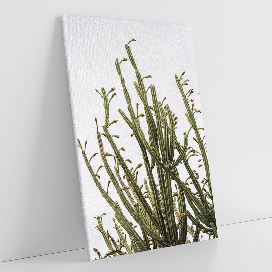 Obraz na płótnie 80x120 - Ekskluzywna Roślinność - kaktusy, liście