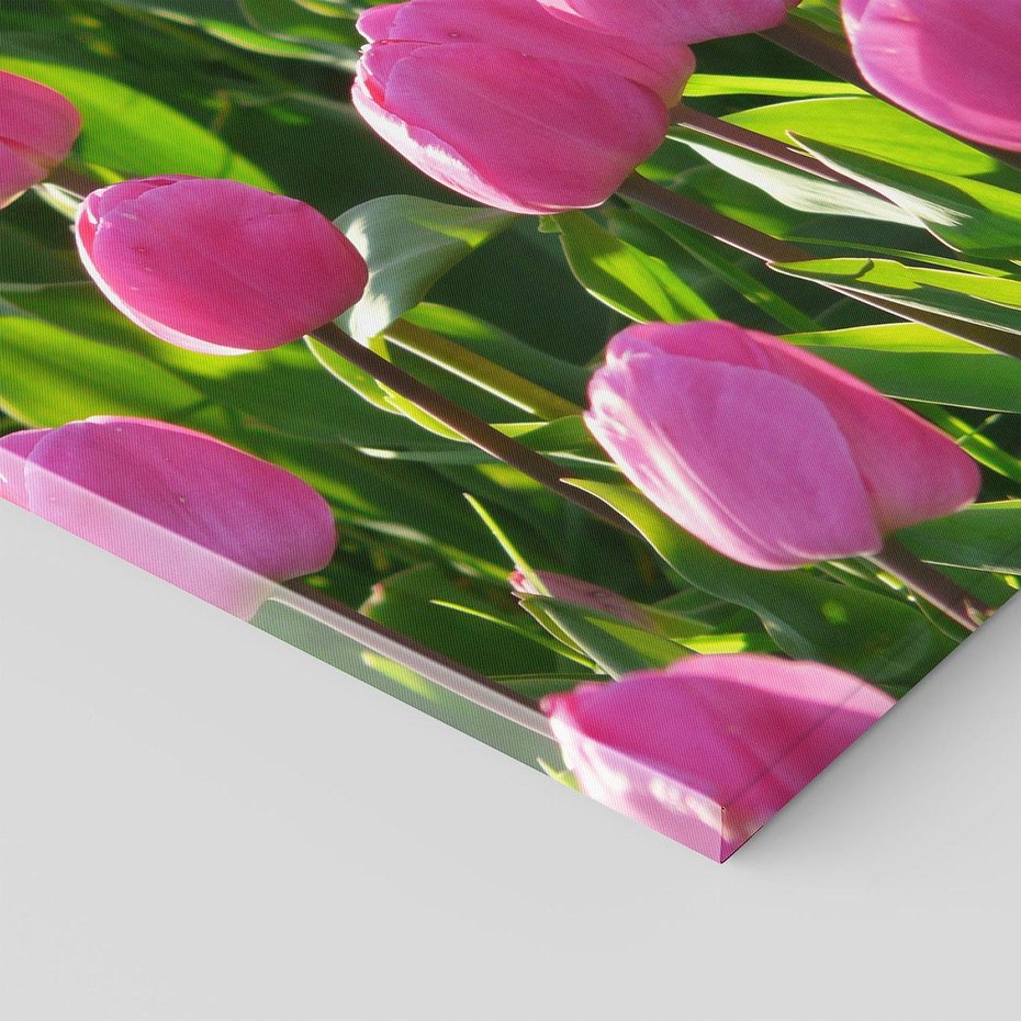 Obraz na płótnie 60x60 - Tulipanowa harmonia - tulipany, kwiaty