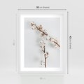 Plakat w ramie 30x40 - Gałęzie Bawełny na Białym Tle - gałęzie bawełny na białym tle, minimalizm - rama biała