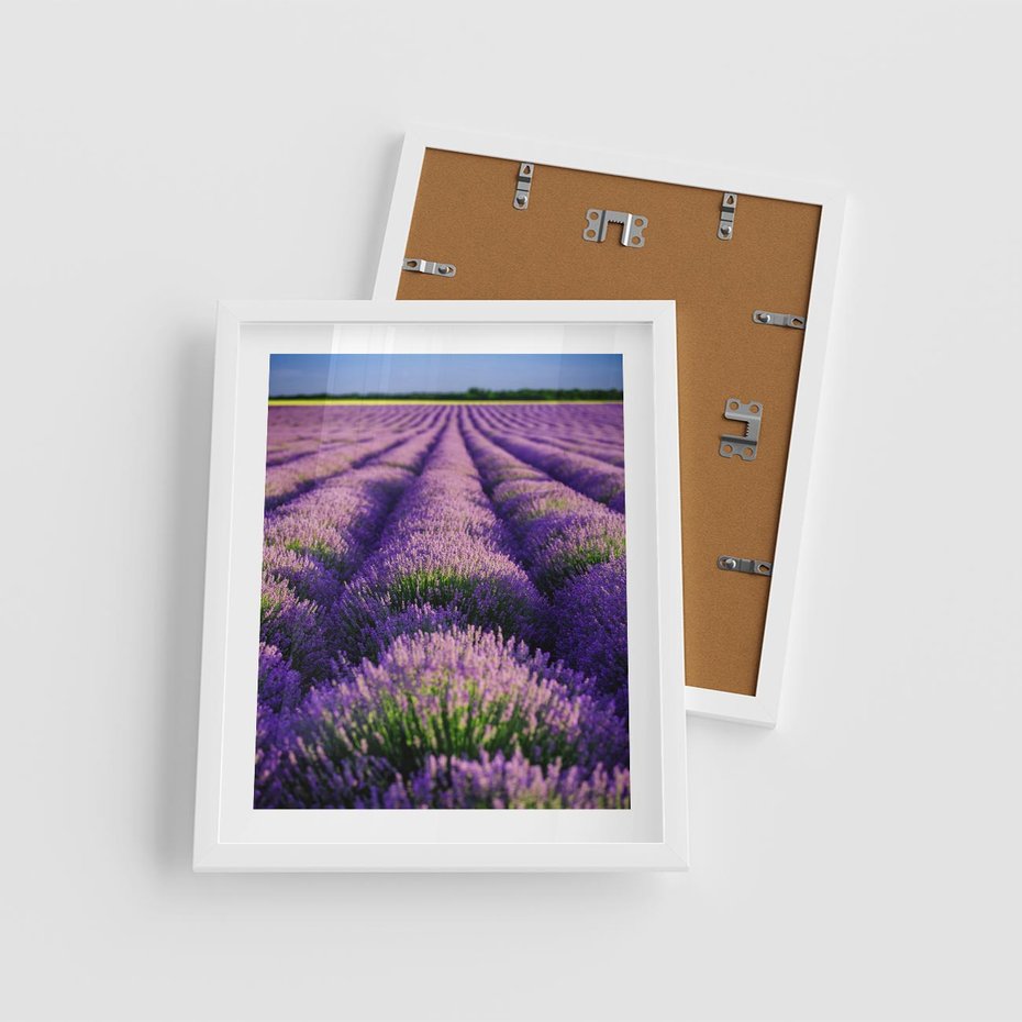 Plakat w ramie 40x50 - Malownicze Pole Lawendy - lawenda, pole - rama biała