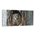 Obraz na płótnie 100x50 - Tajemniczy W świecie Nocy - sowa, dziupla
