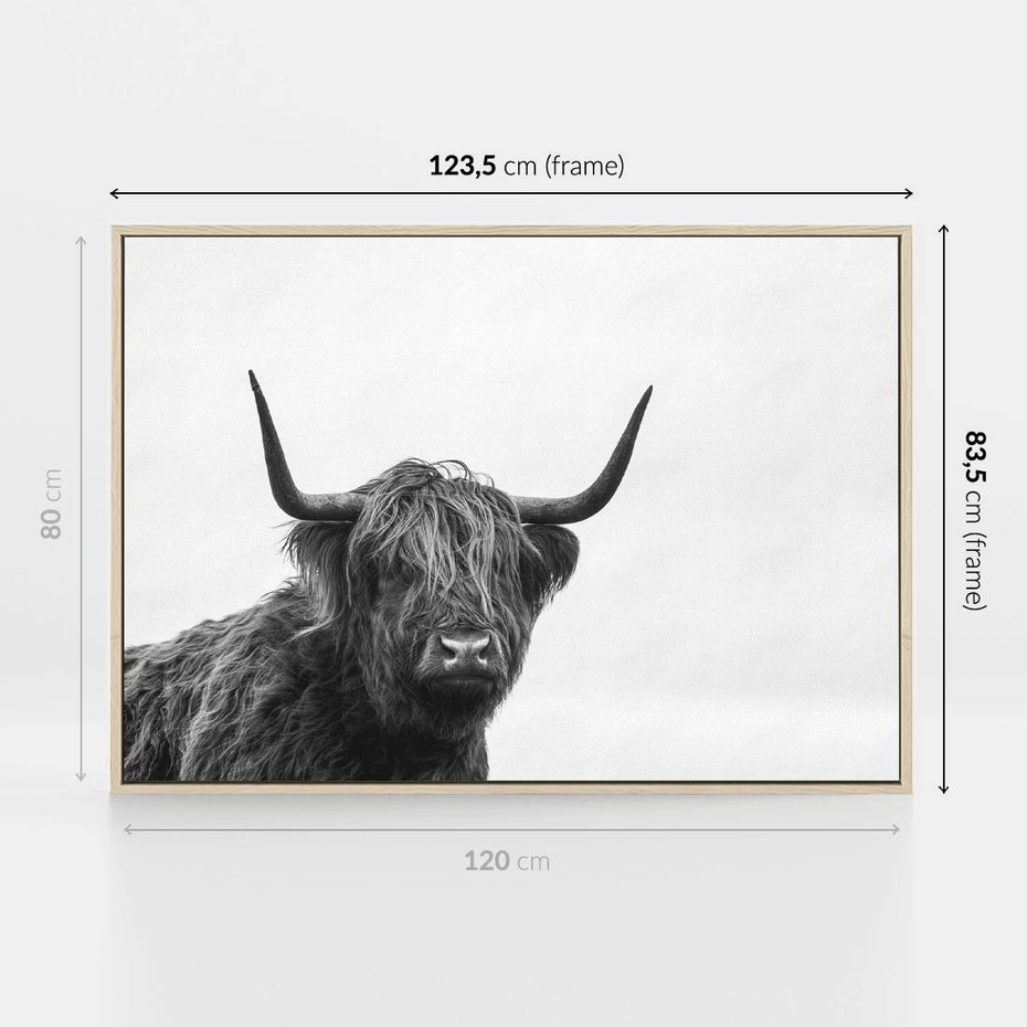 Obraz w ramie 120x80 - Moc i Spokój - amerykańskie bydło, byk - rama drewno