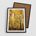 Plakat w ramie 50x70 - Jesienny Las - Kolorowa Paleta Natury - jesień, drzewa - rama czarna
