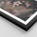 Plakat w ramie 40x50 - Przemijający Urok - kwitnąca, wiśnia - rama czarna