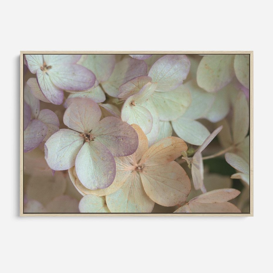 Obraz w ramie 100x70 - Kwiatowy taniec - kwiaty, hortensje - rama drewno