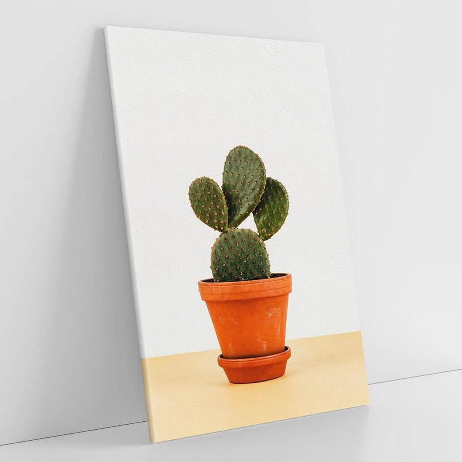 Obraz na płótnie 70x100 - Kwiatowy taniec kaktusa - kaktus, kwiat