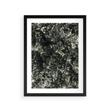 Plakat w ramie 50x70 - Jasnozielone Liście i Gałązki - liście, gałązki - rama czarna