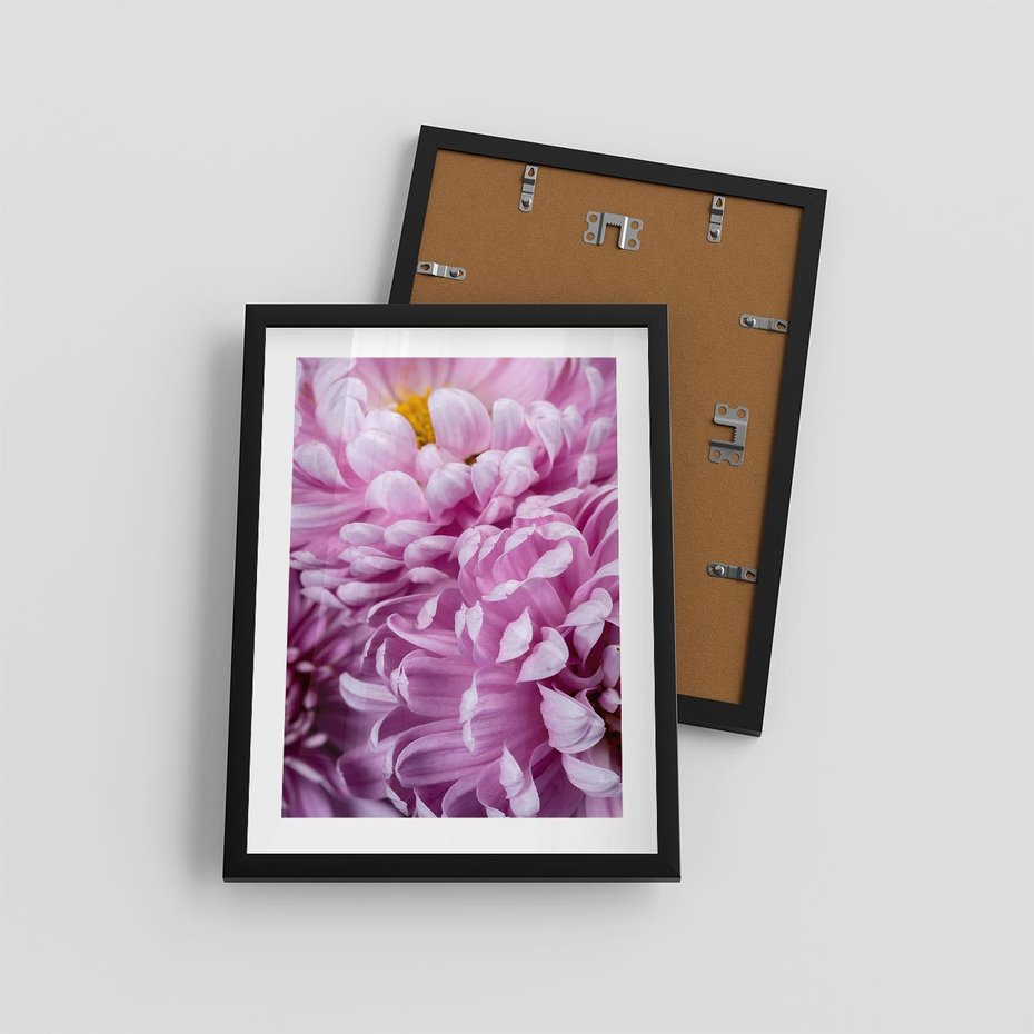 Plakat w ramie 30x40 - Fioletowy zawrót głowy - kwiat, różowy kwiat - rama czarna