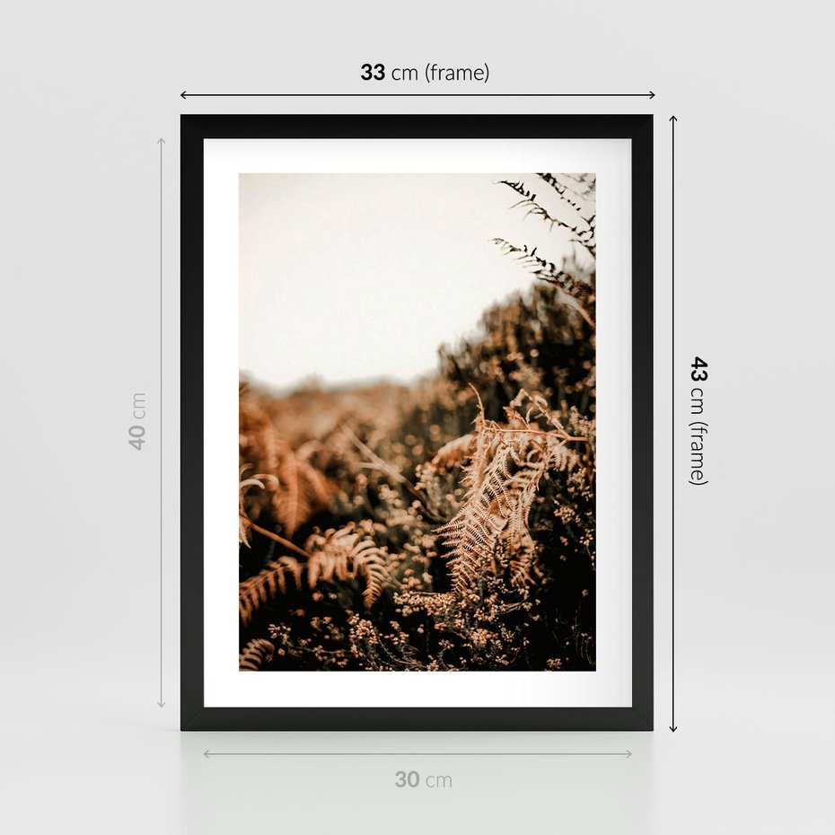 Plakat w ramie 30x40 - Jesienna Harmonia - suche paprocie, jesienny krajobraz - rama czarna