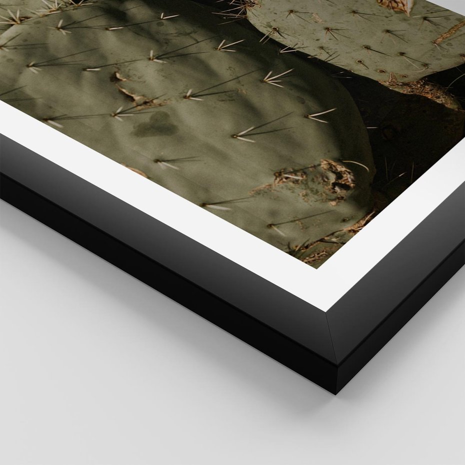 Plakat w ramie 50x70 - Urok Egzotyki - kaktusy, boho - rama czarna