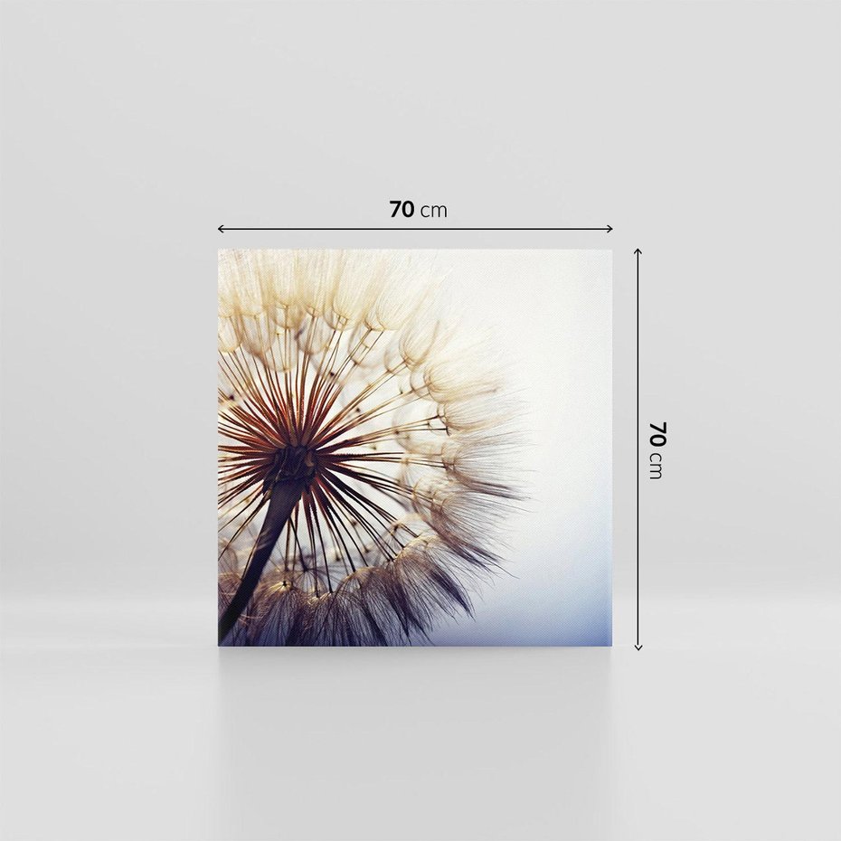 Obraz na płótnie 70x70 - Makro piękno dmuchawca - makro, dmuchawiec