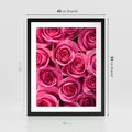 Plakat w ramie 40x50 - Romantyczne róże w pełnym rozkwicie - róże, kwiaty - rama czarna