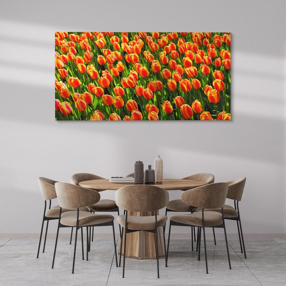 Obraz na płótnie 100x50 - Tulipanowa eksplozja - tulipany, kwiaty