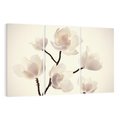 Obraz na płótnie 120x80 - Elegancja Natury - magnolia, białe