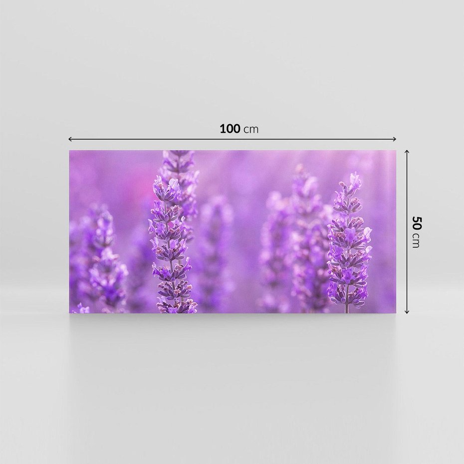 Obraz na płótnie 100x50 - Fioletowa harmonia lawendy - lawenda, fiolet