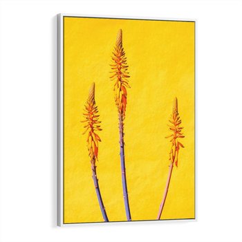 Obraz w ramie 80x120 - Radość Natury - kolor, kwiaty - rama biała