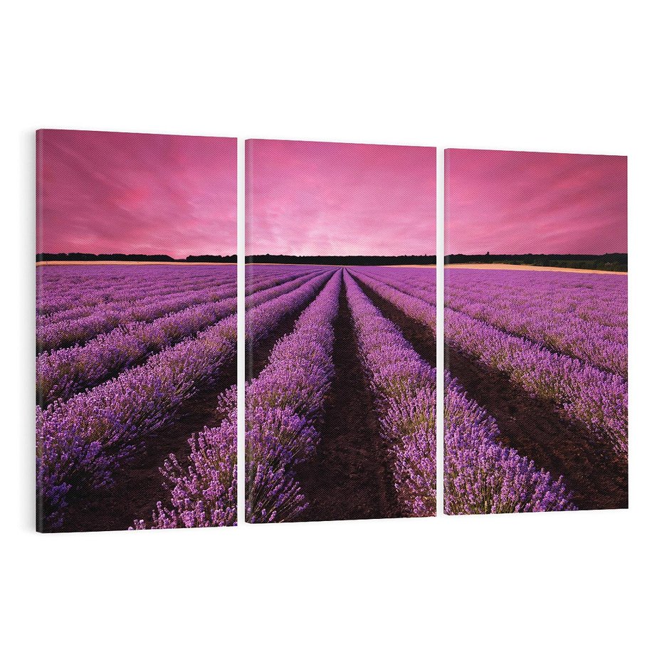 Obraz na płótnie 120x80 - Pola lawendy w pełnym rozkwicie - Lawenda, krajobraz