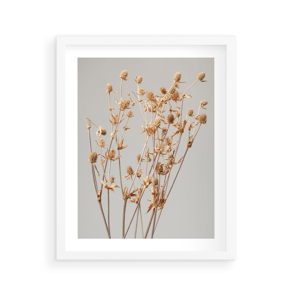 Plakat w ramie 40x50 - Delikatne gipsówki - gipsówka, suche - rama biała