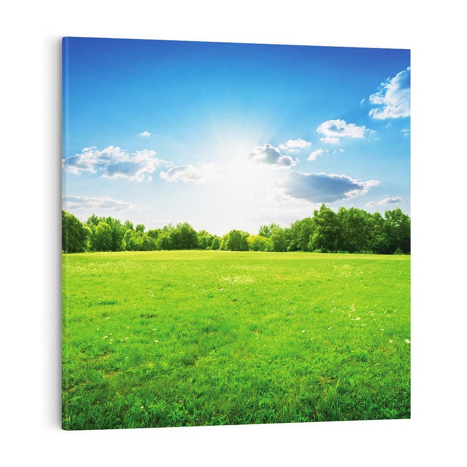 Obraz na płótnie 50x50 - Idylla na łące drzew - łąka, drzewa