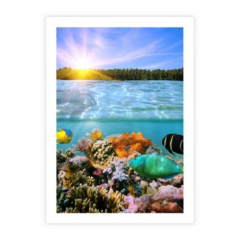 Plakat bez ramy 50x70 - Rafa Koralowa - Podwodne Cuda - rafa, koralowa