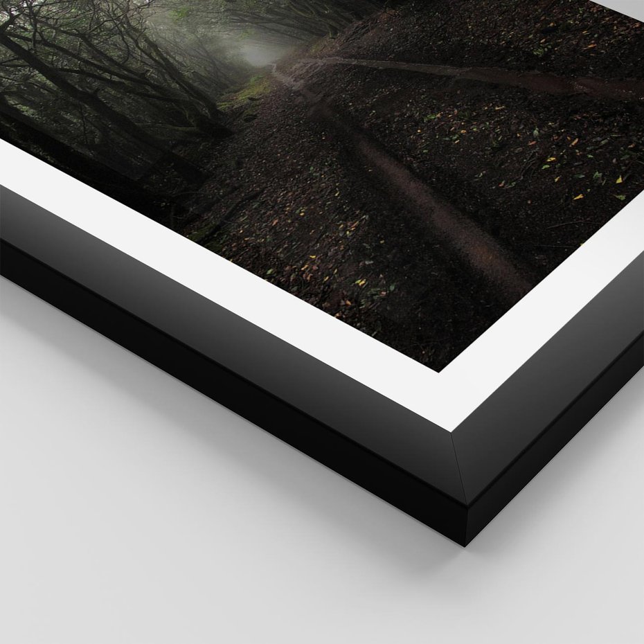 Plakat w ramie 30x40 - Urok Drogi - las, droga - rama czarna
