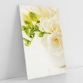 Obraz na płótnie 70x100 - Subtelność białych frezji - frezja, białe