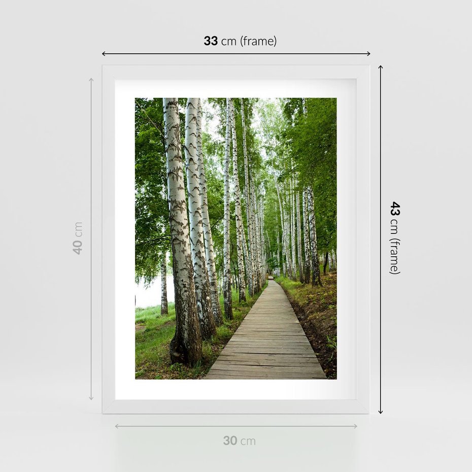 Plakat w ramie 30x40 - Spacer ścieżką przez brzozowy las - las, ścieżka - rama biała