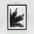Plakat w ramie 30x40 - Czas Zapomnienia - palmy, czarno biała fotografia - rama czarna