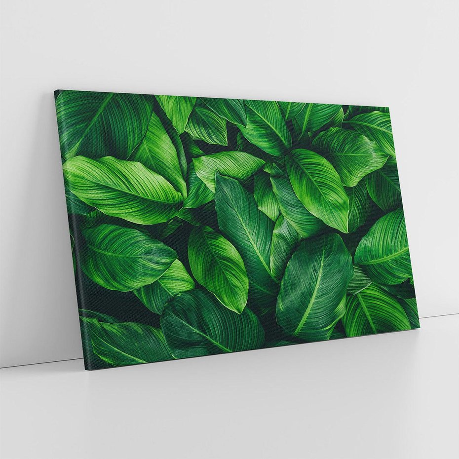 Obraz na płótnie 120x80 - Palma Liście Kwiat - palma, liście