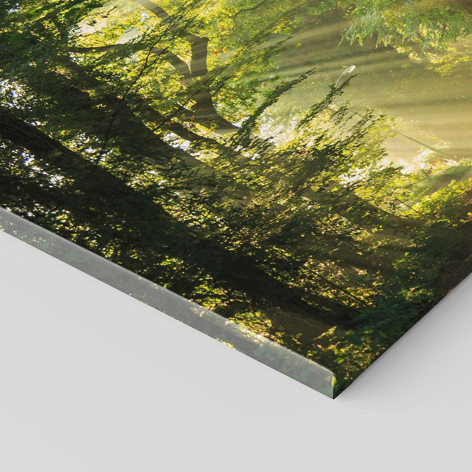 Obraz na płótnie 100x70 - Siła Natury: Las i Drzewa - las, drzewa