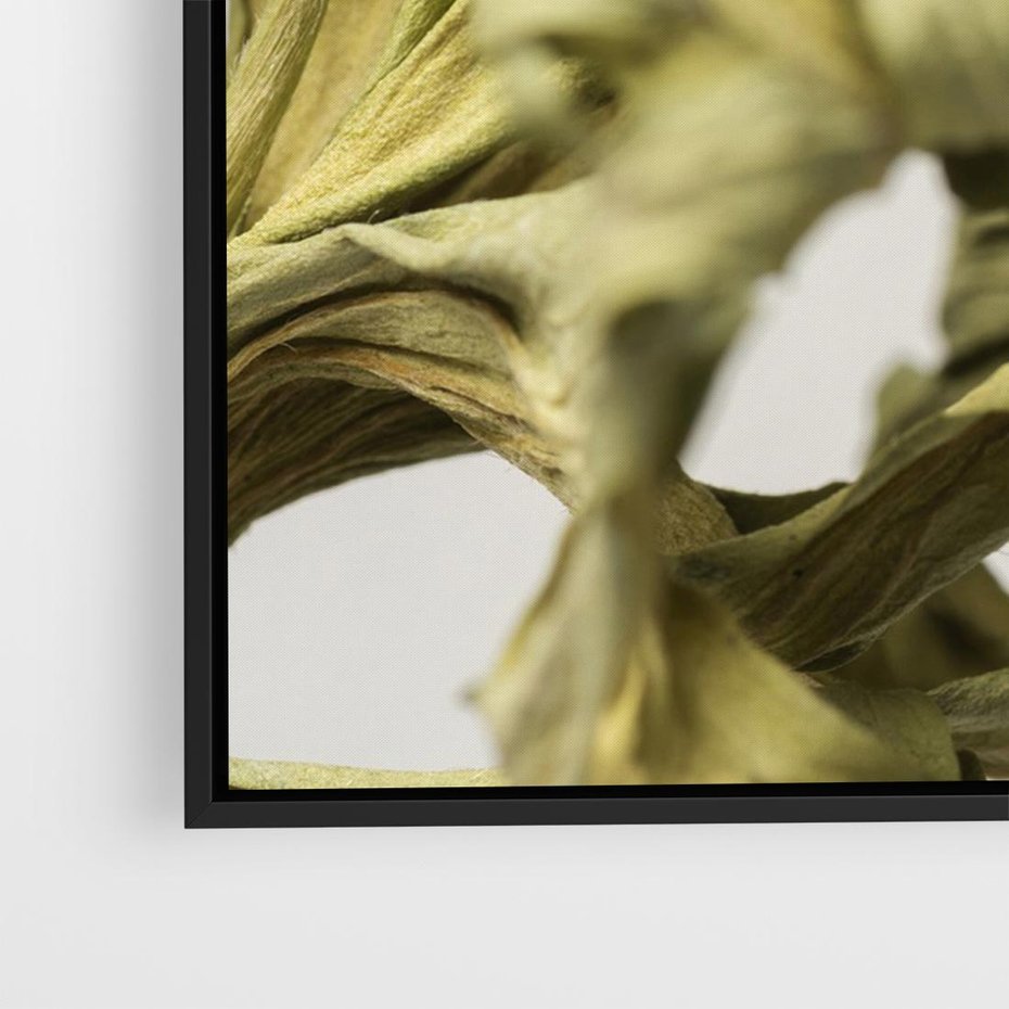 Obraz w ramie 100x70 - Odejście pory deszczowej - suche, trawy - rama czarna