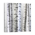 Obraz na płótnie 30x30 - Delikatność brzóz - brzozy, las