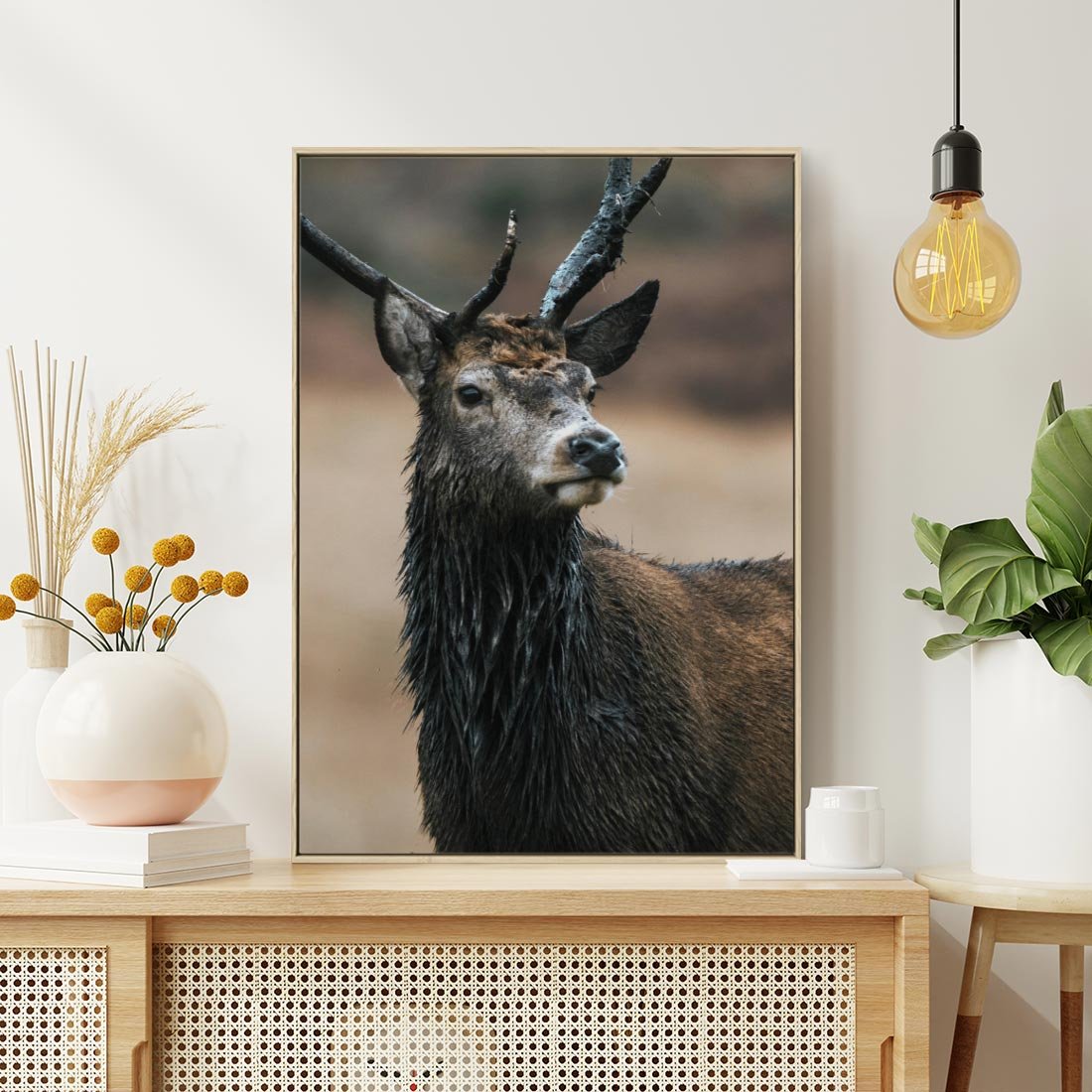 Obraz w ramie 50x70 - Spokojny jeleń - jeleń, las - rama drewno