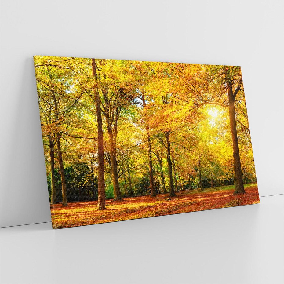Obraz na płótnie 120x80 - Urok jesiennego lasu - las, drzewa