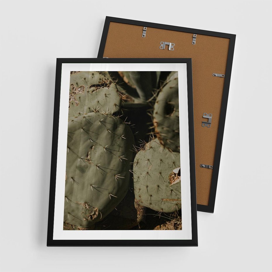 Plakat w ramie 50x70 - Urok Egzotyki - kaktusy, boho - rama czarna