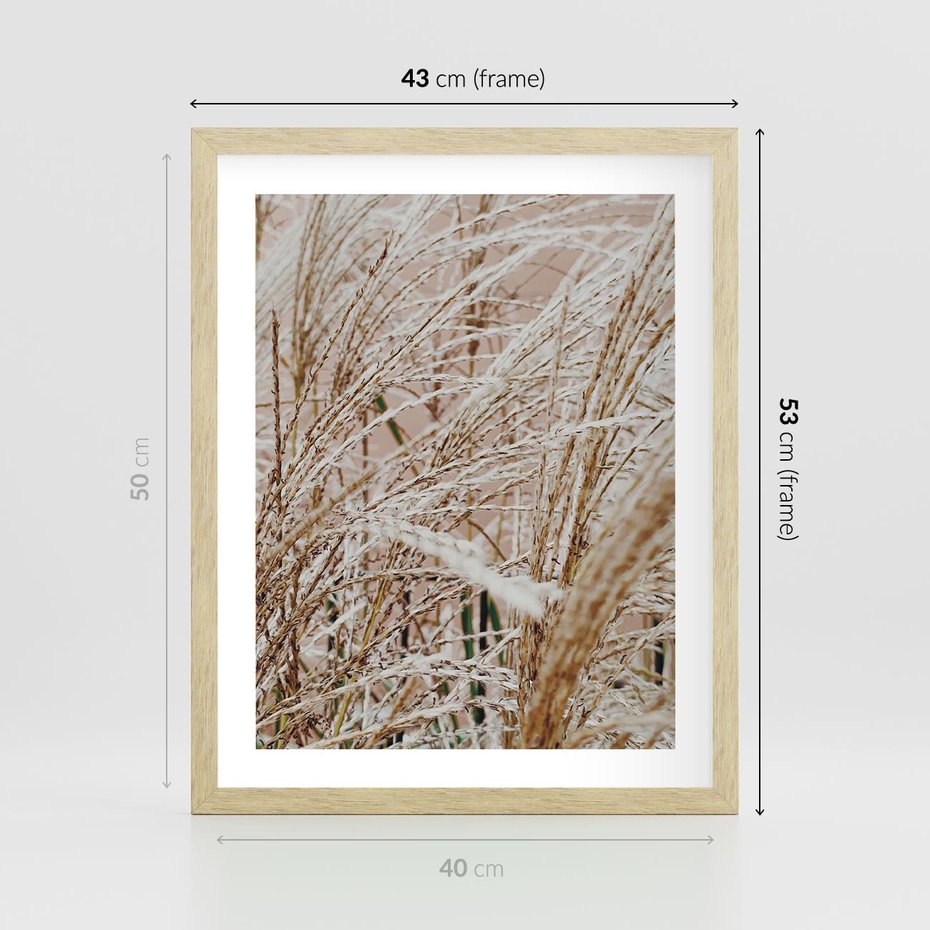 Plakat w ramie 40x50 - Beżowa Trawa - suche trawy, zbliżenie - rama drewno