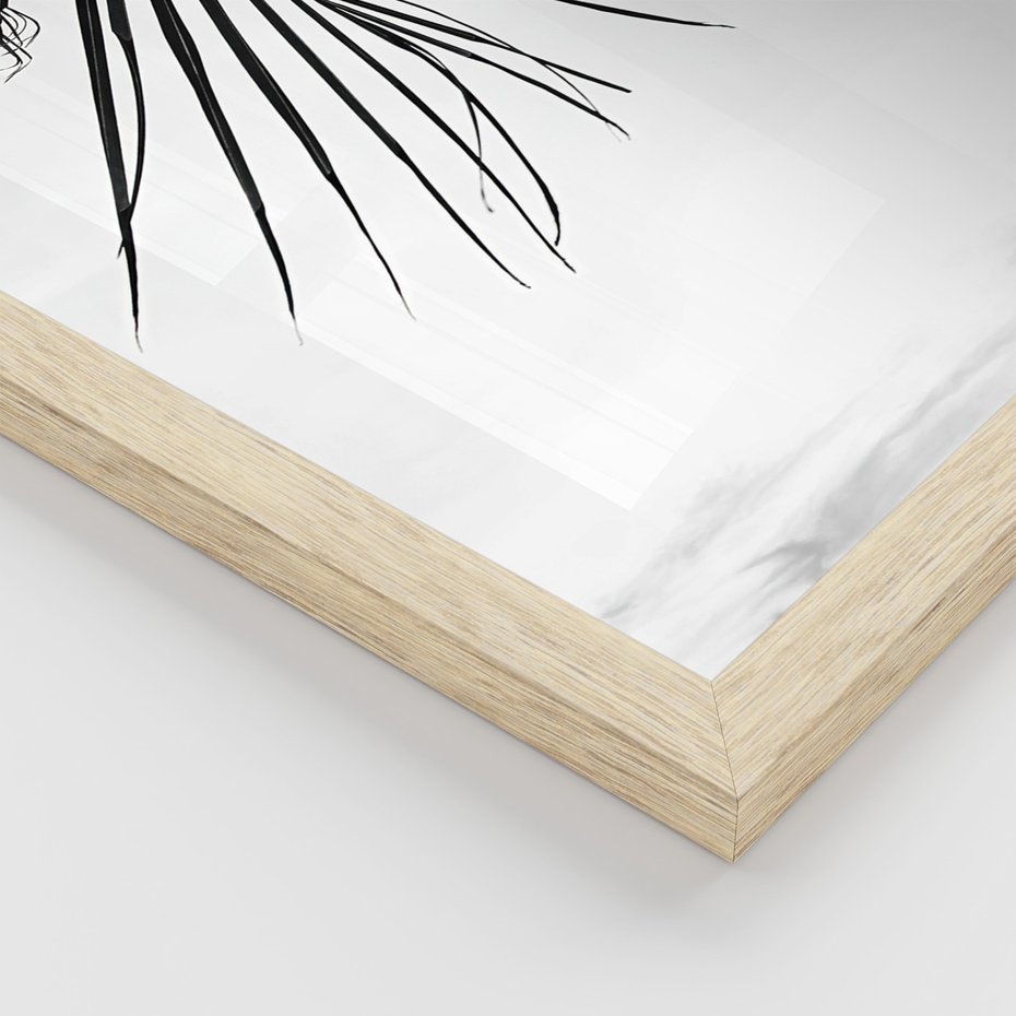 Zestaw obrazy w ramie 30x40 galeria - Palmy, czarno, biały, minimalizm - rama drewno