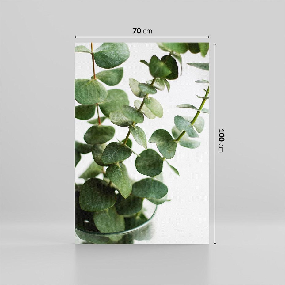 Obraz na płótnie 70x100 - Zielone eukaliptusy - eukaliptus, liście