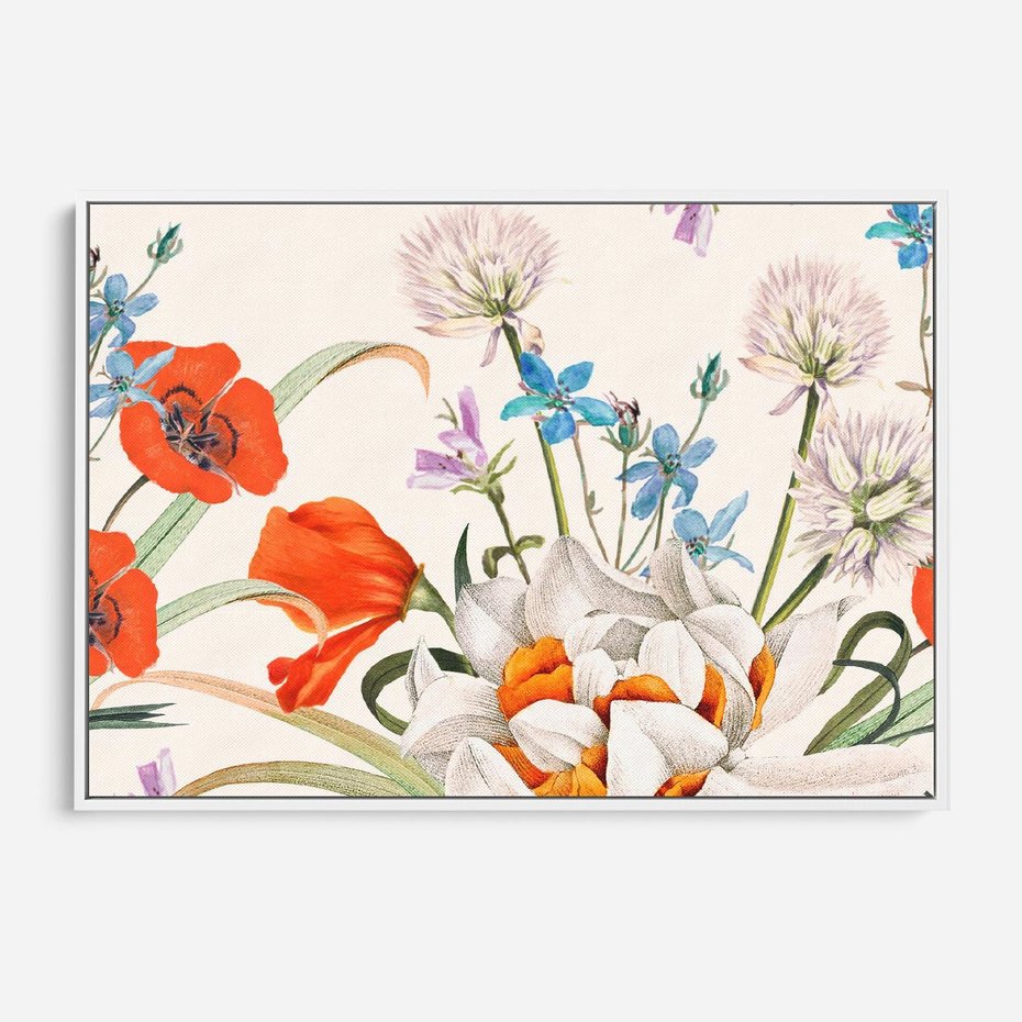 Obraz w ramie 70x50 - Polne Kwiaty - polne kwiaty, na białym tle - rama biała