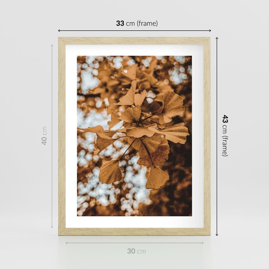 Plakat w ramie 30x40 - Nostalgiczny Miłorząb - miłorząb, liście - rama drewno