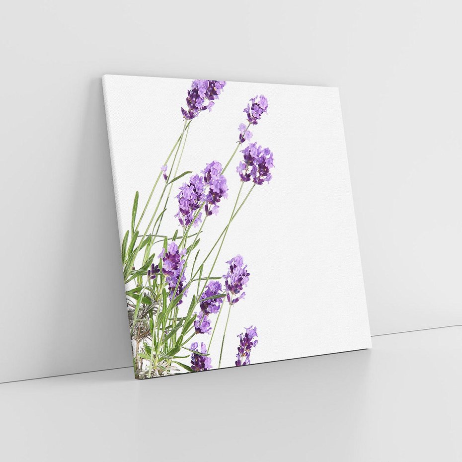Obraz na płótnie 70x70 - Delikatny Urok - lawenda, kwiaty