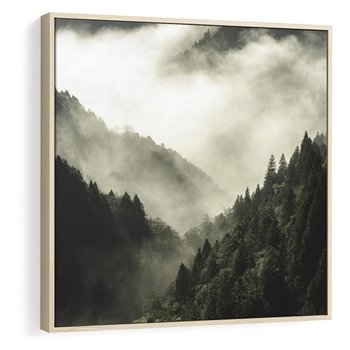 Obraz w ramie 80x80 - Mgliste góry w lesie - góry, las - rama drewno