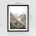 Plakat w ramie 40x50 - Dzikie Piękno: Kozica w Malowniczym Górskim Scenerii - kozica, góry - rama czarna