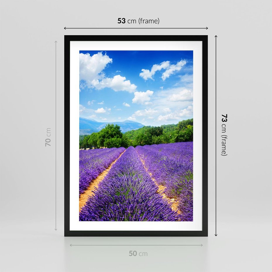 Plakat w ramie 50x70 - Prowansalska Lawenda - lawenda, prowansja - rama czarna