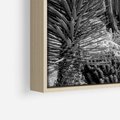 Obraz w ramie 50x70 - Pustynny Klimat - czarno białe zdjecie, pustynia - rama drewno