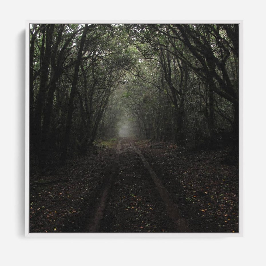 Obraz w ramie 50x50 - Urok Drogi - las, droga - rama biała