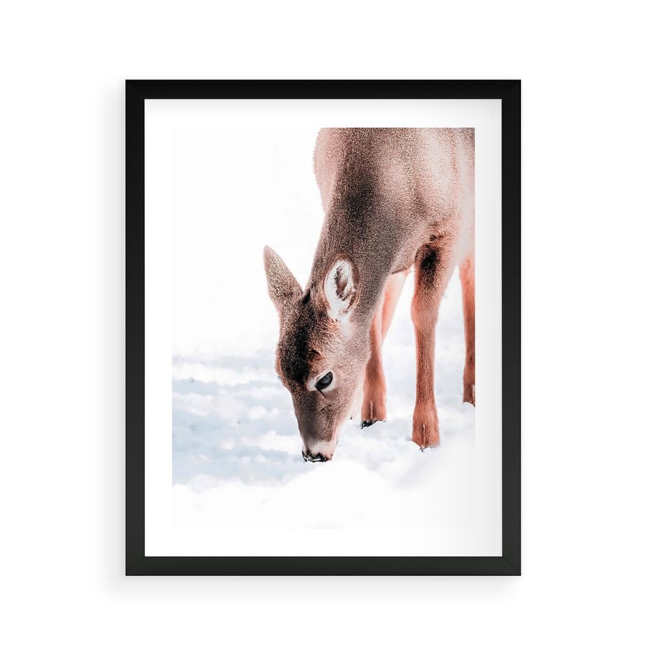Plakat w ramie 40x50 - Sarna w Zimowym Raju - sarna, na śniegu - rama czarna