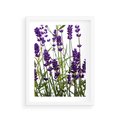 Plakat w ramie 30x40 - Fioletowa harmonia lawendy - lawenda, fiolet - rama biała